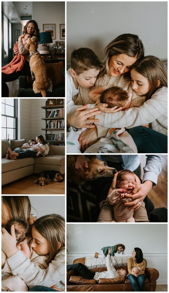 A collage of families in their own living rooms.  Candid, lifestyle newborn and family photography to show case at home photography sessions.  Steph Kines Photo