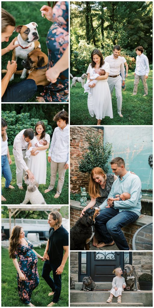 A collage of couples and families outside their home, in their own backyard.  Many of these images have dogs as well.  Candid, lifestyle newborn and family photography to show case at home photography sessions. Steph Kines Photo