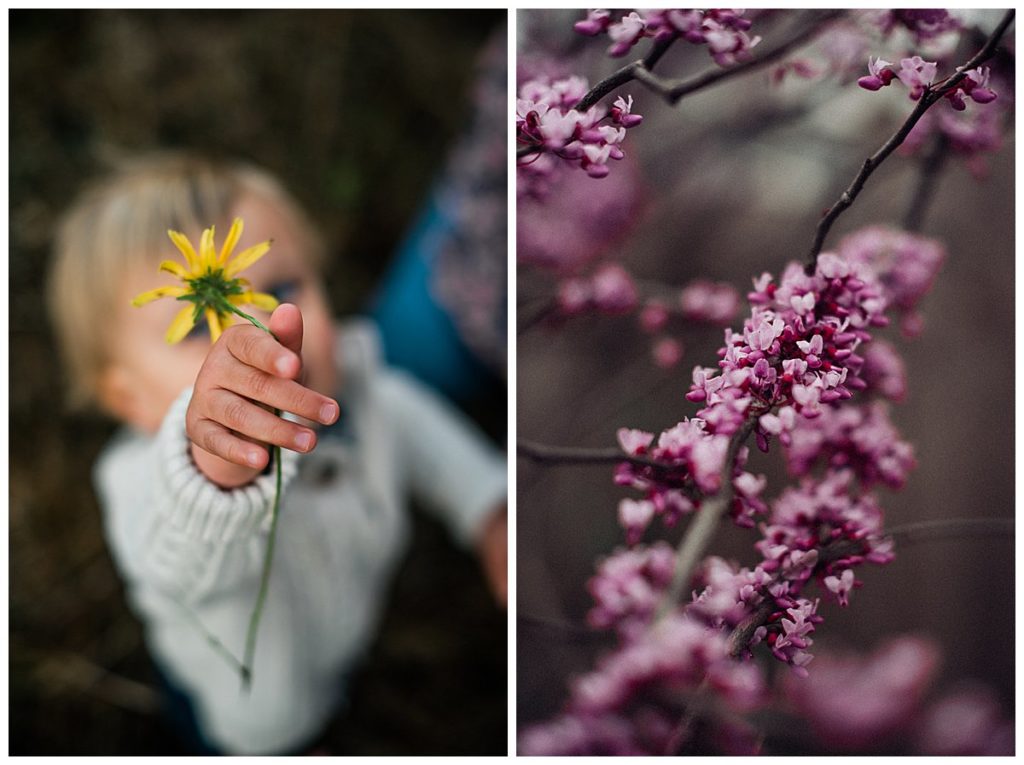 Baby holds yellow flower and explores a garden in Philadelphia during an Outdoor Family Photography session with Steph Kines Photo