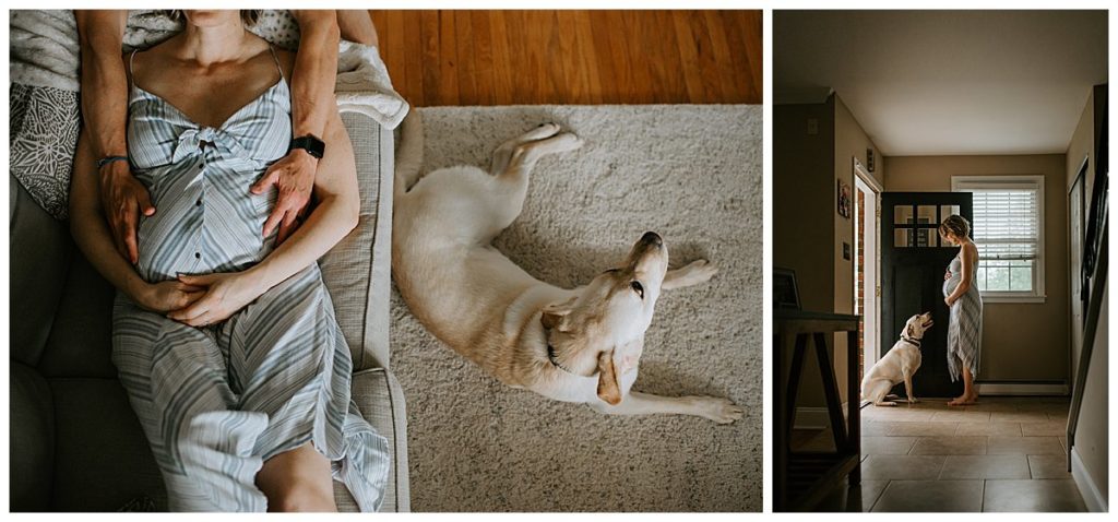 Lifestyle Maternity photos with dogs