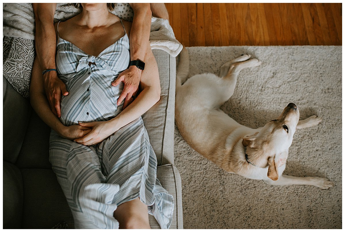 Maternity and newborn photos with dogs