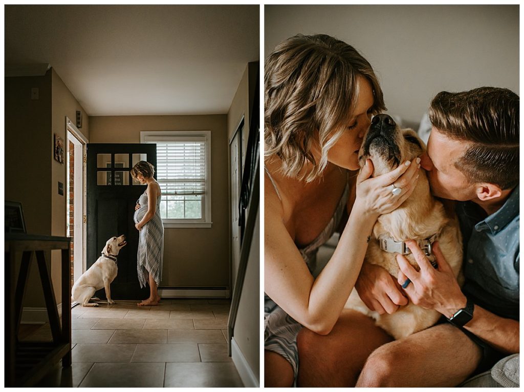 Pets in maternity photos