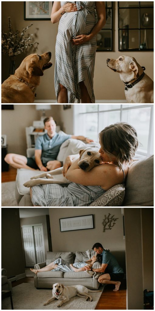 pets in maternity photos