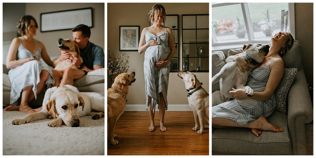 at home maternity session with dogs