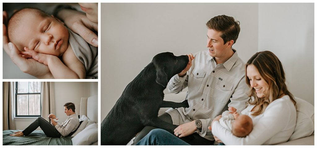 including pets in your newborn session at home.