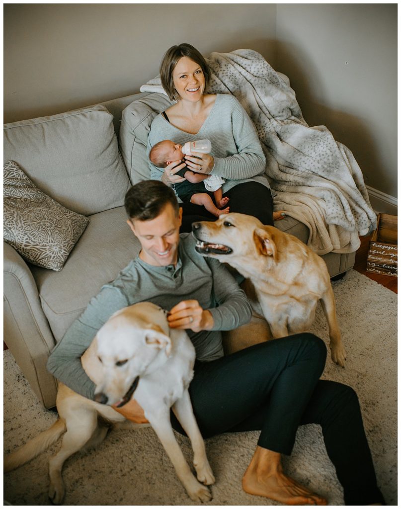 family portraits with dogs in your home
