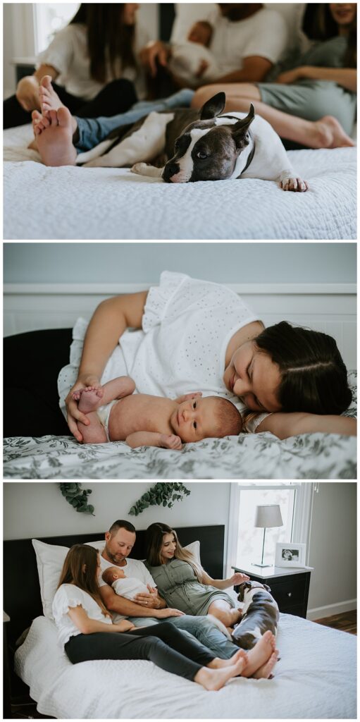 At home with dog in Natural Newborn Photos Philadelphia