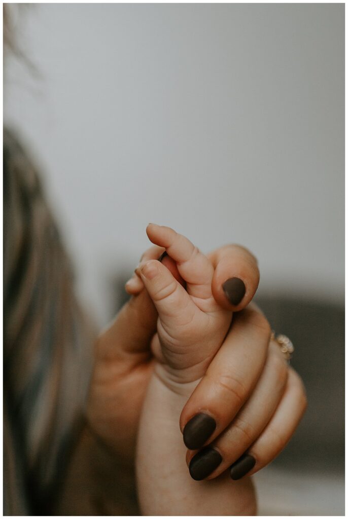 Newborn Boy Photographs